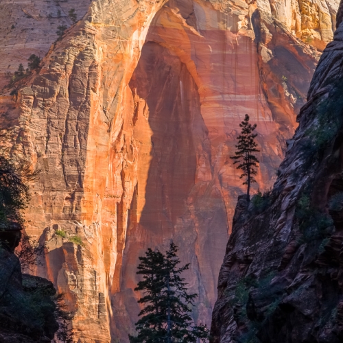 2nd Place Merit Award - Kayla Stevenson - Zion Arch