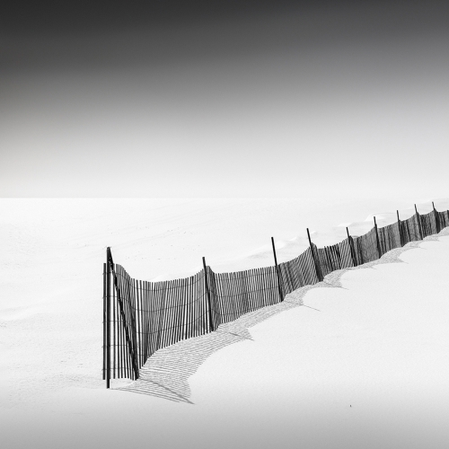 SILVER MEDAL Etobicoke Camera Club Niru Karia Fence