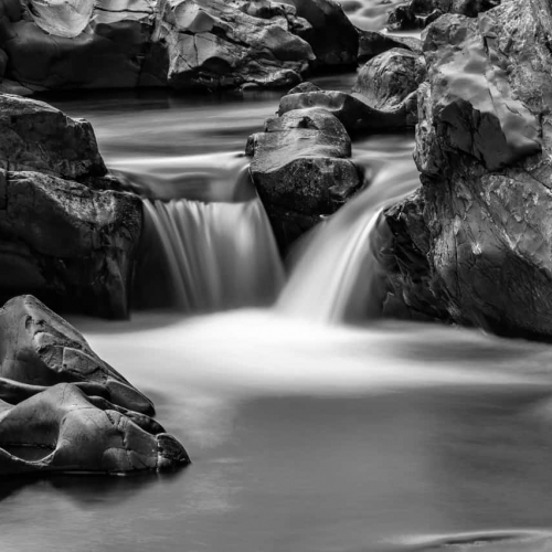 SILVER MEDAL Langley Camera Club Karen Reynolds Natures Carving