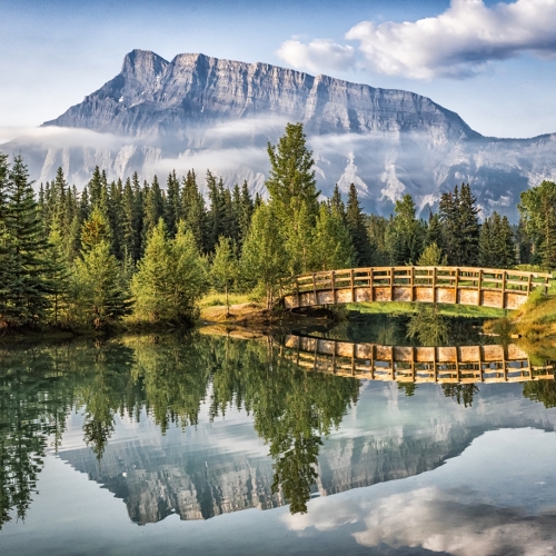 Silver Medal Bruce Farrer Cascade Ponds