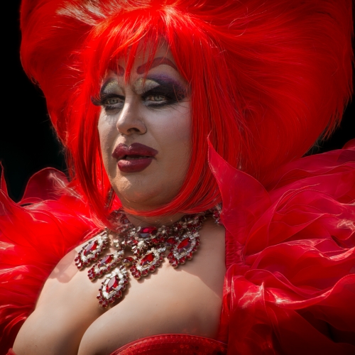 Silver Medal - Deborah Robertson - North Shore Photographic Society - Flaming Red