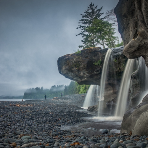 Silver Medal - Gloria Szabo's image "Rainforest Meets The Sea"