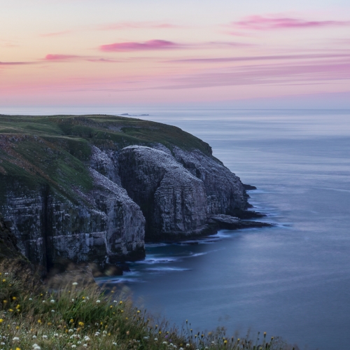 Silver Medal - IIana Block's image "Cape St Mary S Gannet Colony At Sunrise  Newfoundland"