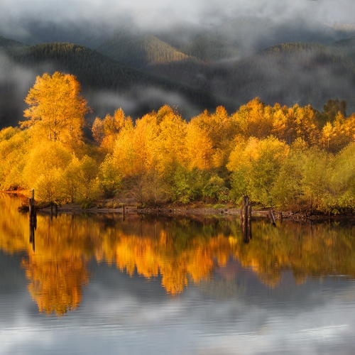Silver Medal - Lois Burton - Autumn Impressions