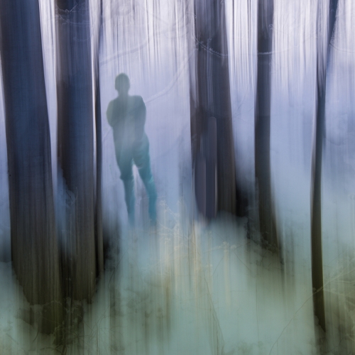 Silver Medal - Michele Broadfoot's "Alone"
