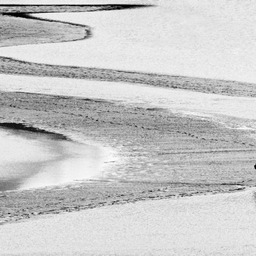 Silver Medal - Missy Mandel "A Man And His Dog"