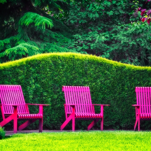 Silver Medal - Randall Epp - Three Chairs For The Gardeners