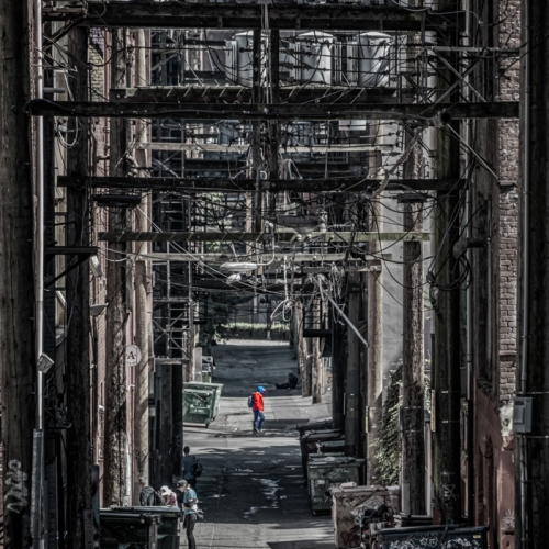 Silver Medal - Randall Epp - Urban Jungle Flora And Fauna