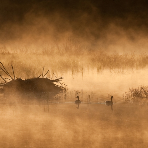 Silver Medal Thomas McGory Algonquin Beaver Lodge Sunrise
