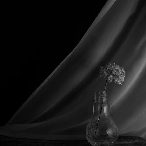 The Vase