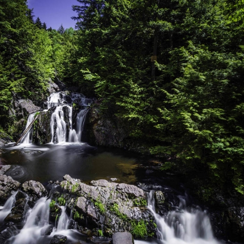 Tom Gallant Victoria Park Falls
